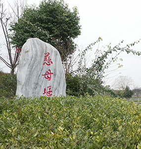 绵阳梓潼农业用地